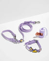 Wild One Leash & Collar Flair Charms Pack (Dream)