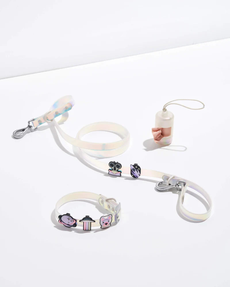 Wild One Flair Charm Pack (Space)