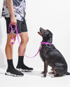 Wild One Anti-Odour Dog Collar (Orchid)