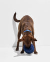 Wild One Tennis Tuft Puzzle Dog Toy (Navy)