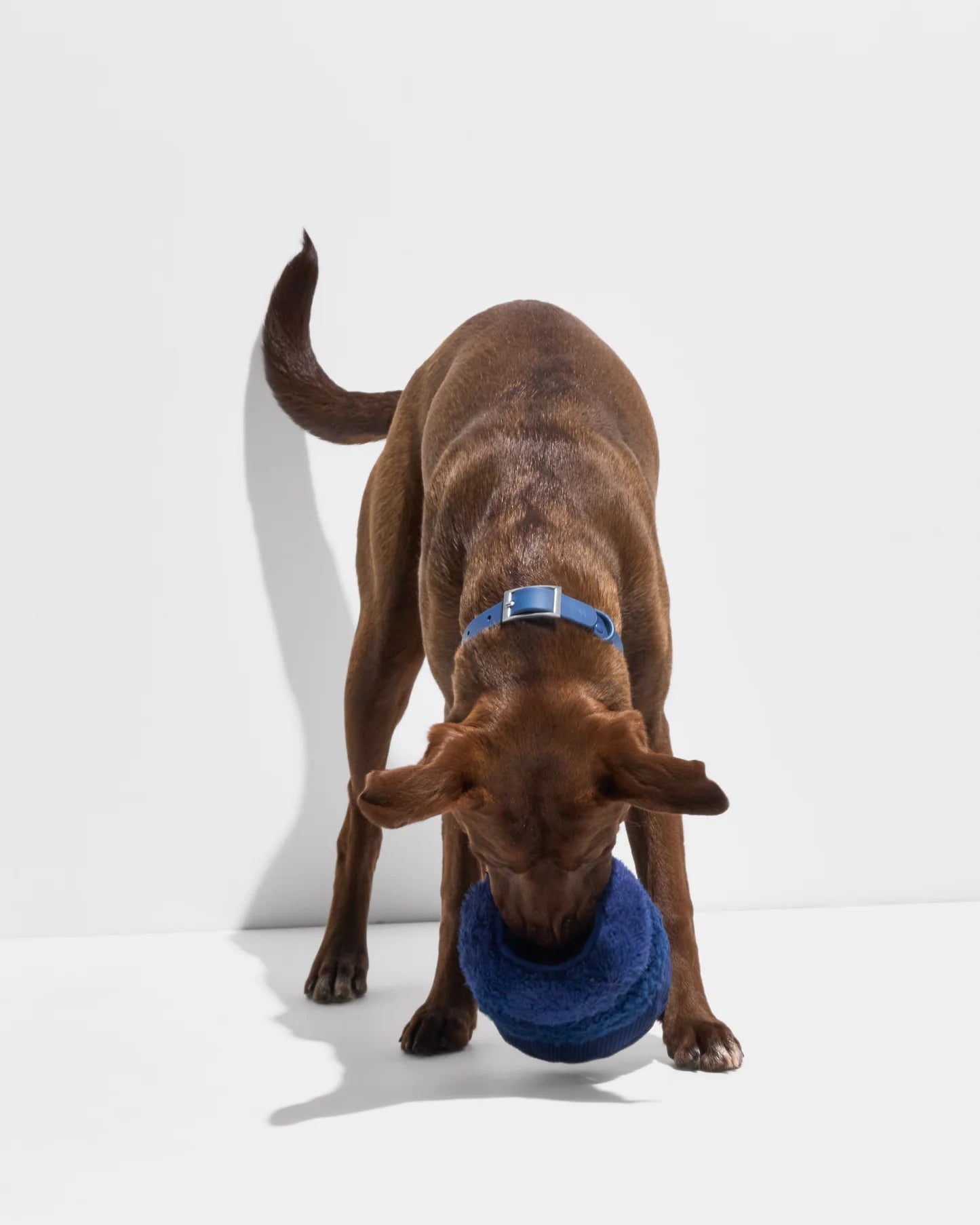 Wild One Tennis Tuft Puzzle Dog Toy (Navy)