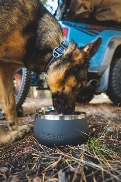 Ruffwear Basecamp™ Sound-Dampening Hard-Sided Dog Bowl (River Rock Green)