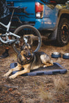 Ruffwear Basecamp™ Sound-Dampening Hard-Sided Dog Bowl (Basalt Gray)
