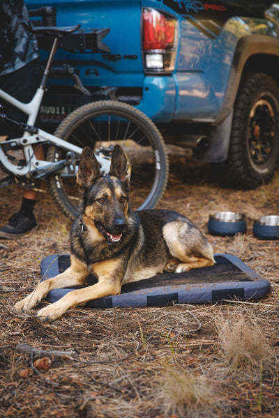 Ruffwear Basecamp™ Sound-Dampening Hard-Sided Dog Bowl (Basalt Gray)