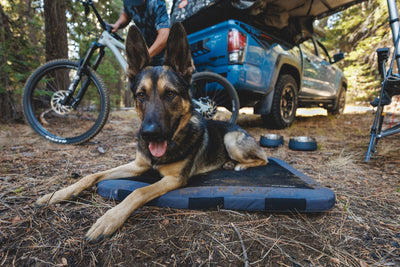 Ruffwear Basecamp™ Sound-Dampening Hard-Sided Dog Bowl (River Rock Green)