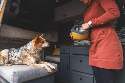 Ruffwear Basecamp™ Sound-Dampening Hard-Sided Dog Bowl (Cattail Tan)