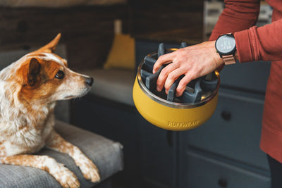 Ruffwear Basecamp™ Sound-Dampening Hard-Sided Dog Bowl (Cattail Tan)