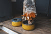 Ruffwear Basecamp™ Sound-Dampening Hard-Sided Dog Bowl (Cattail Tan)
