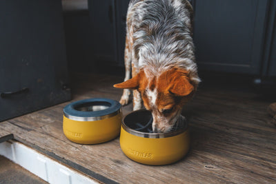 Ruffwear Basecamp™ Sound-Dampening Hard-Sided Dog Bowl (Cattail Tan)