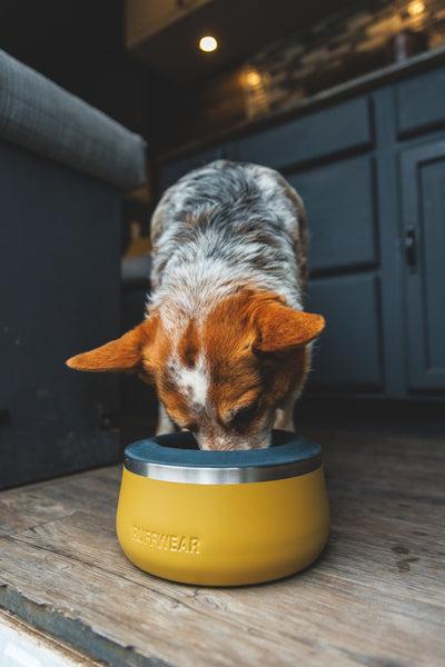 Ruffwear Basecamp™ Sound-Dampening Hard-Sided Dog Bowl (Cattail Tan)