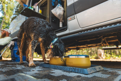Ruffwear Basecamp™ Sound-Dampening Hard-Sided Dog Bowl (Cattail Tan)