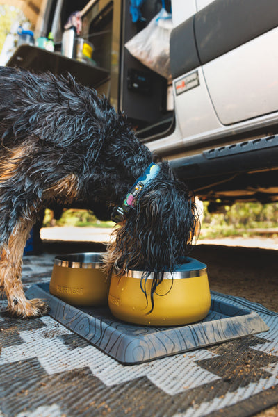 Ruffwear Basecamp™ Sound-Dampening Hard-Sided Dog Bowl (Cattail Tan)