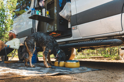 Ruffwear Basecamp™ Sound-Dampening Hard-Sided Dog Bowl (Cattail Tan)