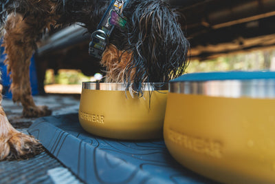 Ruffwear Basecamp™ Sound-Dampening Hard-Sided Dog Bowl (Cattail Tan)