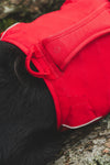 Ruffwear Web Master™ Dog Harness with Neck Buckle and Handle (Red Canyon)