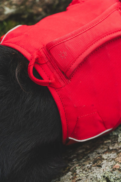 Ruffwear Web Master™ Dog Harness with Neck Buckle and Handle (Red Canyon)