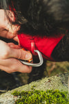Ruffwear Web Master™ Dog Harness with Neck Buckle and Handle (Red Canyon)