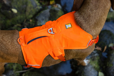 Ruffwear Web Master™ Dog Harness with Neck Buckle and Handle (Blaze Orange)