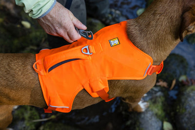 Ruffwear Web Master™ Dog Harness with Neck Buckle and Handle (Blaze Orange)