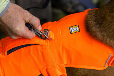 Ruffwear Web Master™ Dog Harness with Neck Buckle and Handle (Blaze Orange)