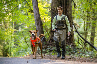 Ruffwear Web Master™ Dog Harness with Neck Buckle and Handle (Blaze Orange)