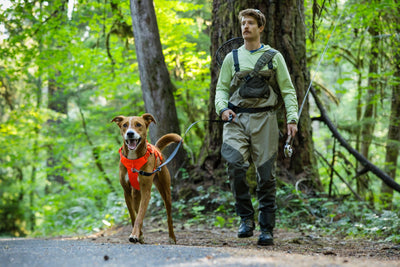 Ruffwear Web Master™ Dog Harness with Neck Buckle and Handle (Blaze Orange)