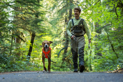 Ruffwear Web Master™ Dog Harness with Neck Buckle and Handle (Blaze Orange)