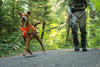 Ruffwear Web Master™ Dog Harness with Neck Buckle and Handle (Blaze Orange)