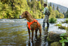 Ruffwear Web Master™ Dog Harness with Neck Buckle and Handle (Blaze Orange)
