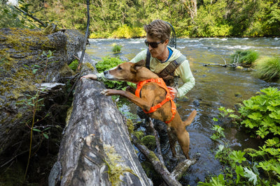Ruffwear Web Master™ Dog Harness with Neck Buckle and Handle (Blaze Orange)
