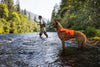 Ruffwear Web Master™ Dog Harness with Neck Buckle and Handle (Blaze Orange)