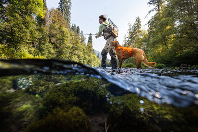 Ruffwear Web Master™ Dog Harness with Neck Buckle and Handle (Blaze Orange)