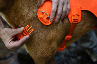 Ruffwear Web Master™ Dog Harness with Neck Buckle and Handle (Blaze Orange)