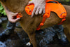 Ruffwear Web Master™ Dog Harness with Neck Buckle and Handle (Blaze Orange)