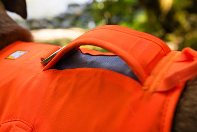Ruffwear Web Master™ Dog Harness with Neck Buckle and Handle (Blaze Orange)