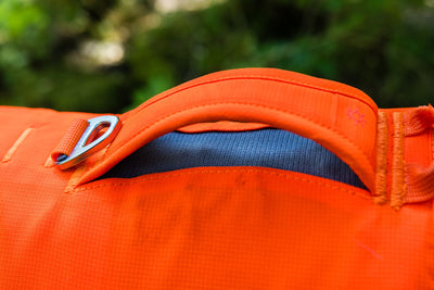 Ruffwear Web Master™ Dog Harness with Neck Buckle and Handle (Blaze Orange)