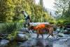 Ruffwear Web Master™ Dog Harness with Neck Buckle and Handle (Blaze Orange)