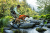Ruffwear Web Master™ Dog Harness with Neck Buckle and Handle (Blaze Orange)