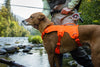 Ruffwear Web Master™ Dog Harness with Neck Buckle and Handle (Blaze Orange)