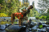 Ruffwear Web Master™ Dog Harness with Neck Buckle and Handle (Blaze Orange)