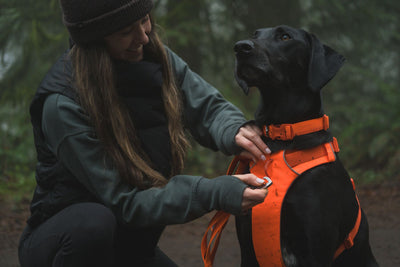 Ruffwear Front Range™ Padded Dog Harness (Blaze Orange)