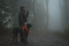 Ruffwear Front Range™ Soft & Durable Everyday Dog Collar (Blaze Orange)