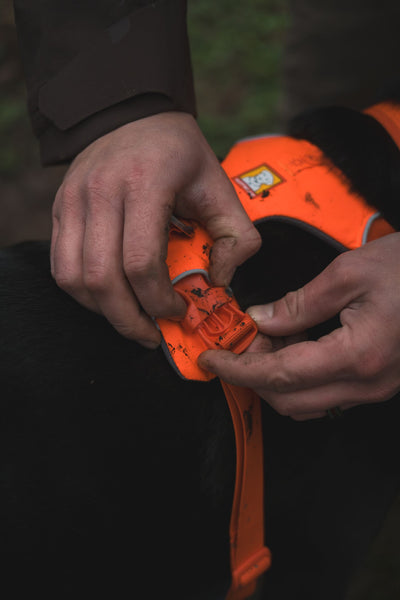 Ruffwear Front Range™ Padded Dog Harness (Blaze Orange)