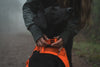 Ruffwear Front Range™ Padded Dog Harness (Blaze Orange)