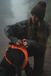 Ruffwear Front Range™ Padded Dog Harness (Blaze Orange)