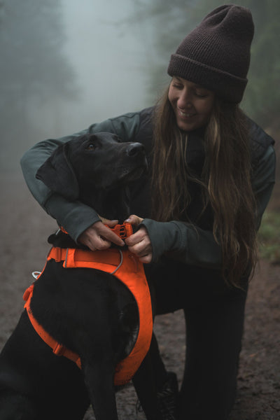 Ruffwear Front Range™ Padded Dog Harness (Blaze Orange)