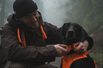 Ruffwear Front Range™ Padded Dog Harness (Blaze Orange)
