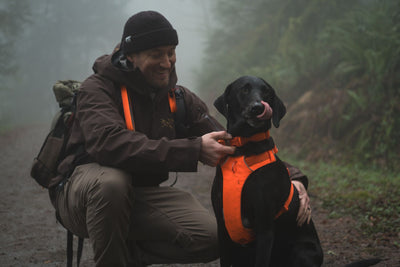 Ruffwear Front Range™ Padded Dog Harness (Blaze Orange)