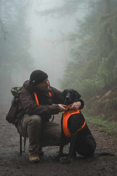 Ruffwear Front Range™ Padded Dog Harness (Blaze Orange)