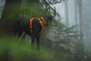 Ruffwear Front Range™ Padded Dog Harness (Blaze Orange)
